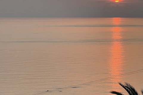 5 bedrooms Villa in Pegeia, Paphos,  No. 49408 12