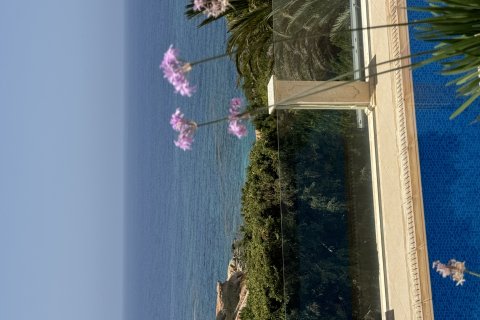 5 bedrooms Villa in Pegeia, Paphos,  No. 49408 13