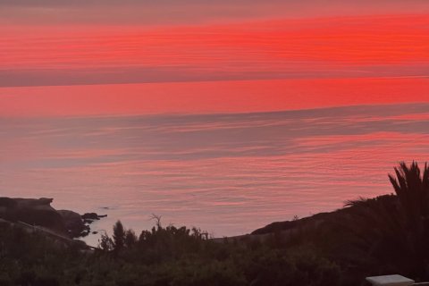 5 bedrooms Villa in Pegeia, Paphos,  No. 49408 11