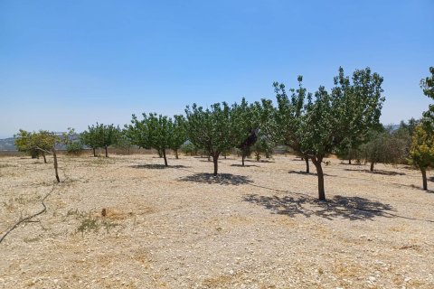 3 bedrooms Villa in Agios Therapon, Limassol, No. 43566 8