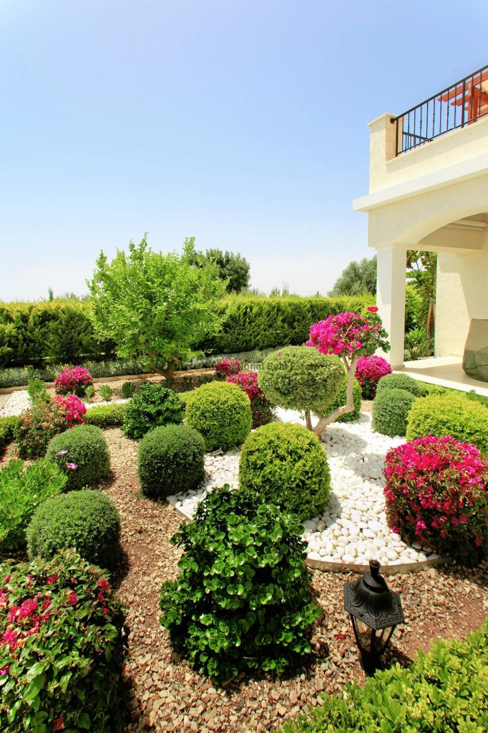 3 chambres Villa à Paphos, Chypre No. 7865
