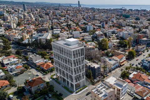 2568m2 Propriété commerciale à Limassol,  No. 45023 3