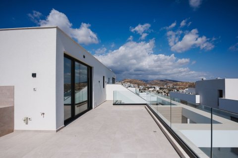 5 chambres Penthouse à Agios Athanasios, Limassol,  No. 45024 11