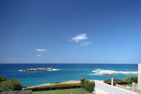 5 bedrooms Villa in Pegeia, Paphos,  No. 48431 9
