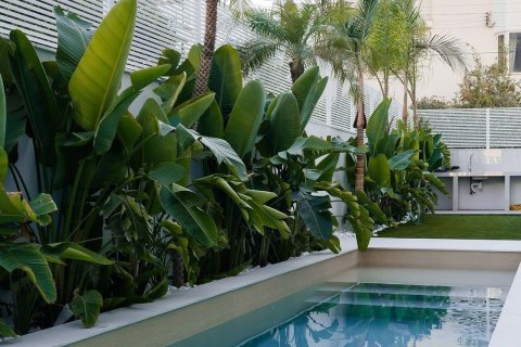 Квартира с 1 спальней в Лимассол, Лимасол,  № 48978 2