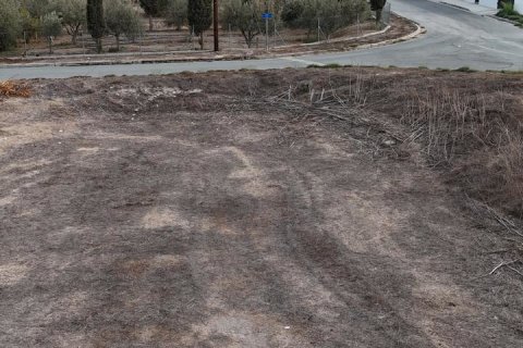 745m2 Land in Dali, Nicosia, No. 40002 8