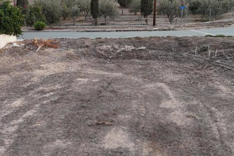 745m2 Land in Dali, Nicosia, No. 40002 7