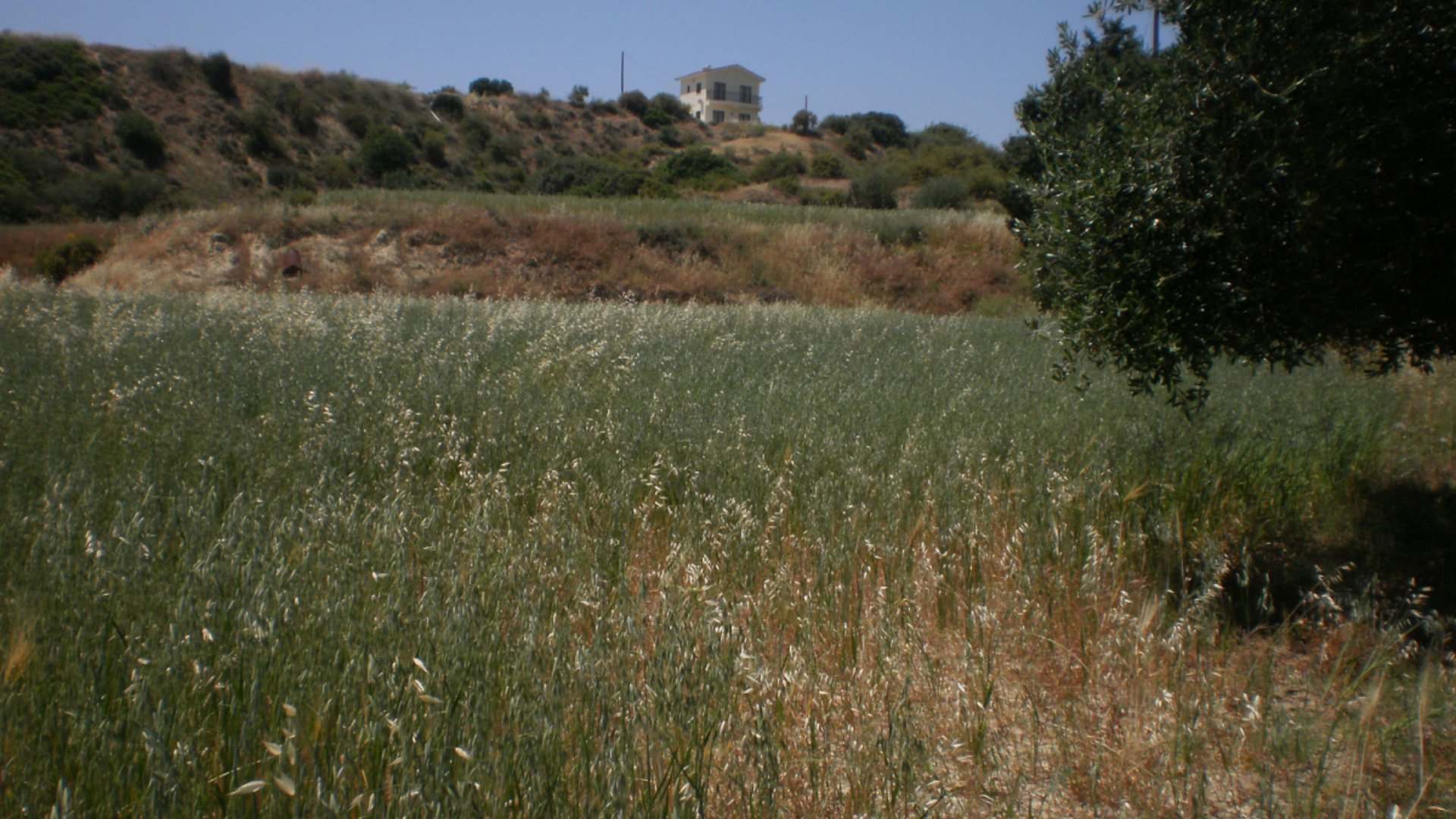 8362m2 Terrain à Pissouri, Limassol, Chypre No. 25580