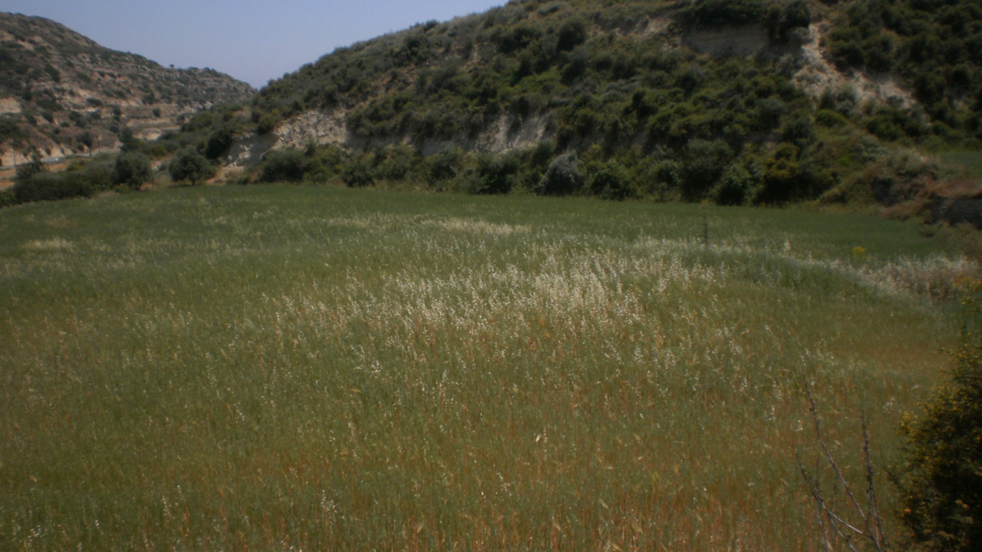 8362m2 Terrain à Pissouri, Limassol, Chypre No. 25580