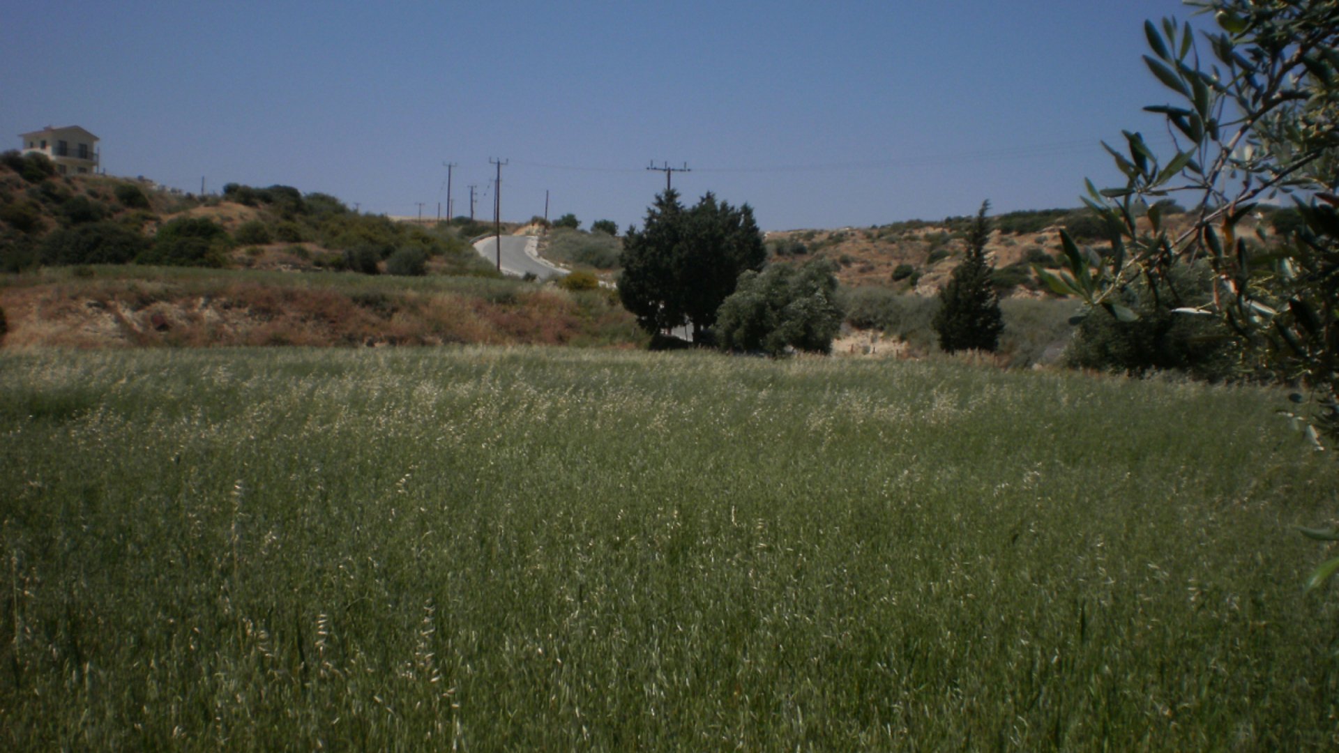 8362m2 Terrain à Pissouri, Limassol, Chypre No. 25580