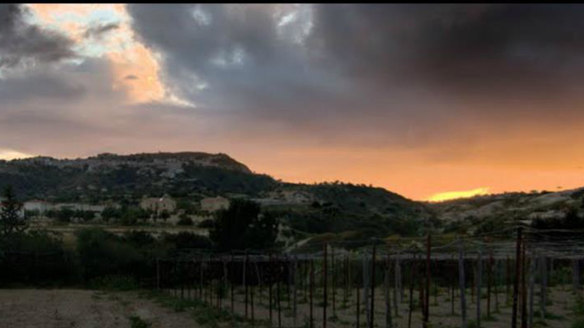 8362m2 Terrain à Pissouri, Limassol, Chypre No. 25580