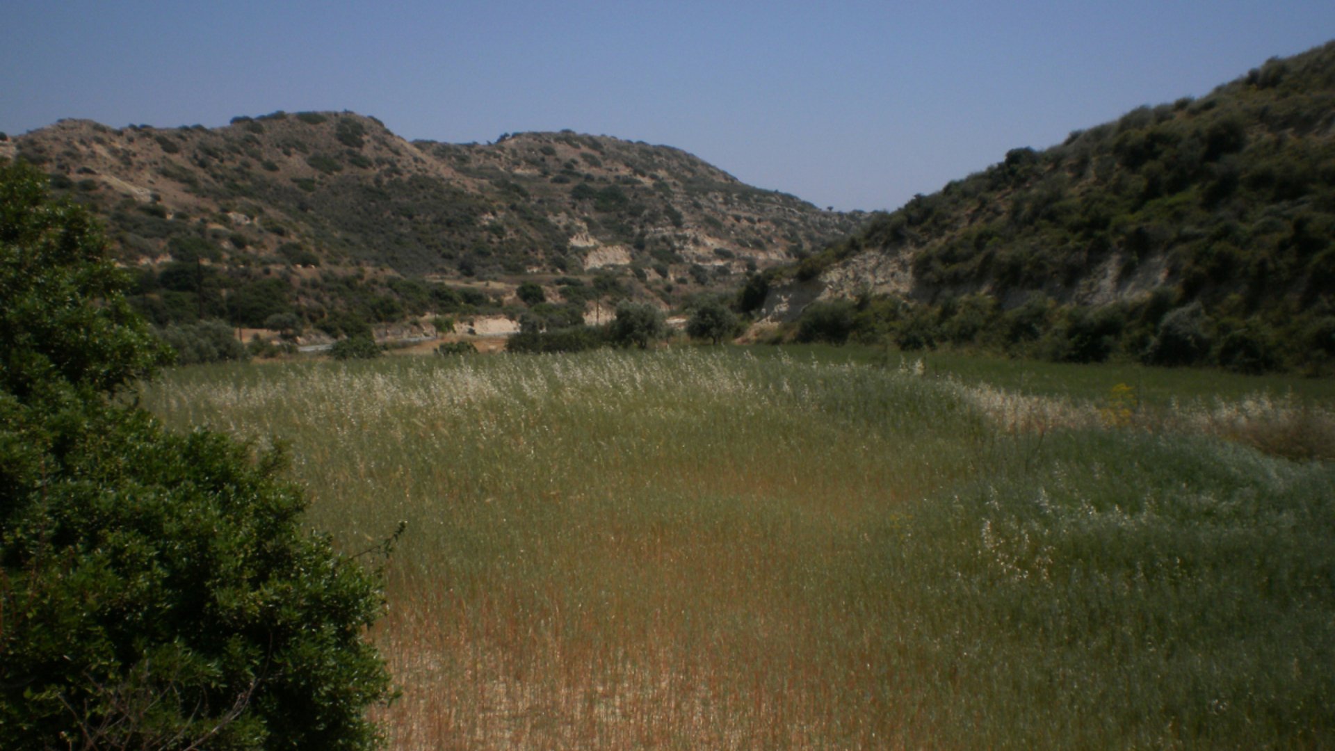 8362m2 Terrain à Pissouri, Limassol, Chypre No. 25580