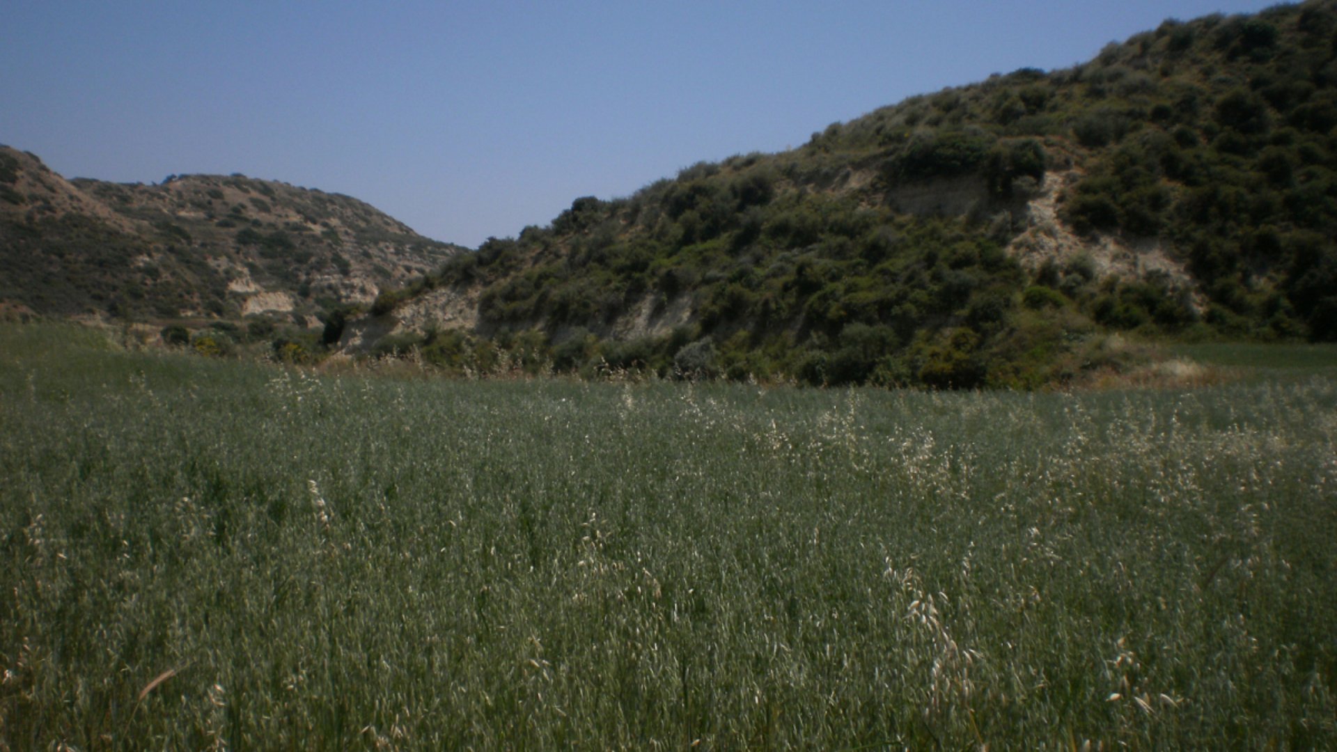 8362m2 Terrain à Pissouri, Limassol, Chypre No. 25580
