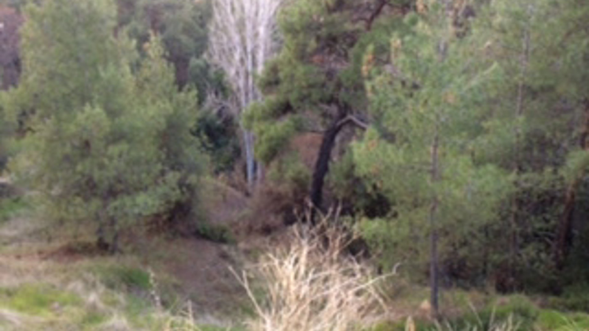 3200m2 Terrain à Trimiklini, Limassol, Chypre No. 25582