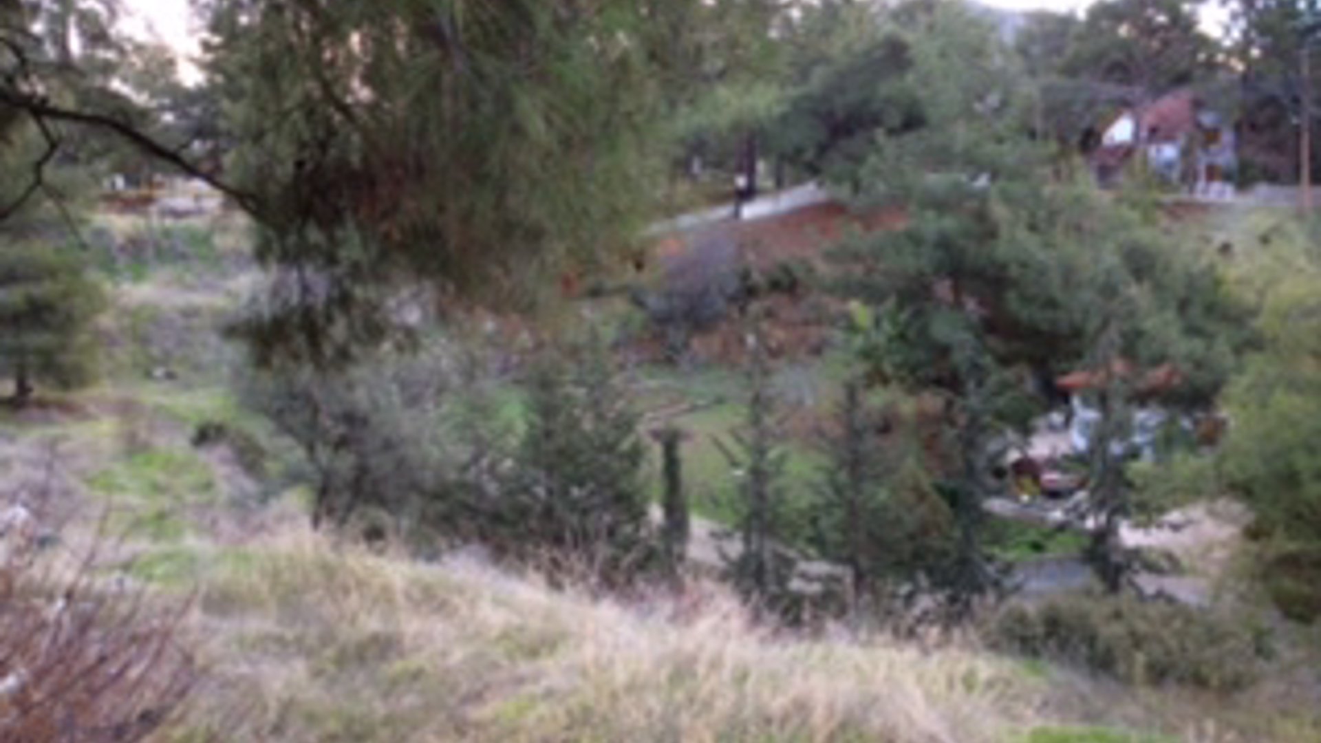 3200m2 Terrain à Trimiklini, Limassol, Chypre No. 25582