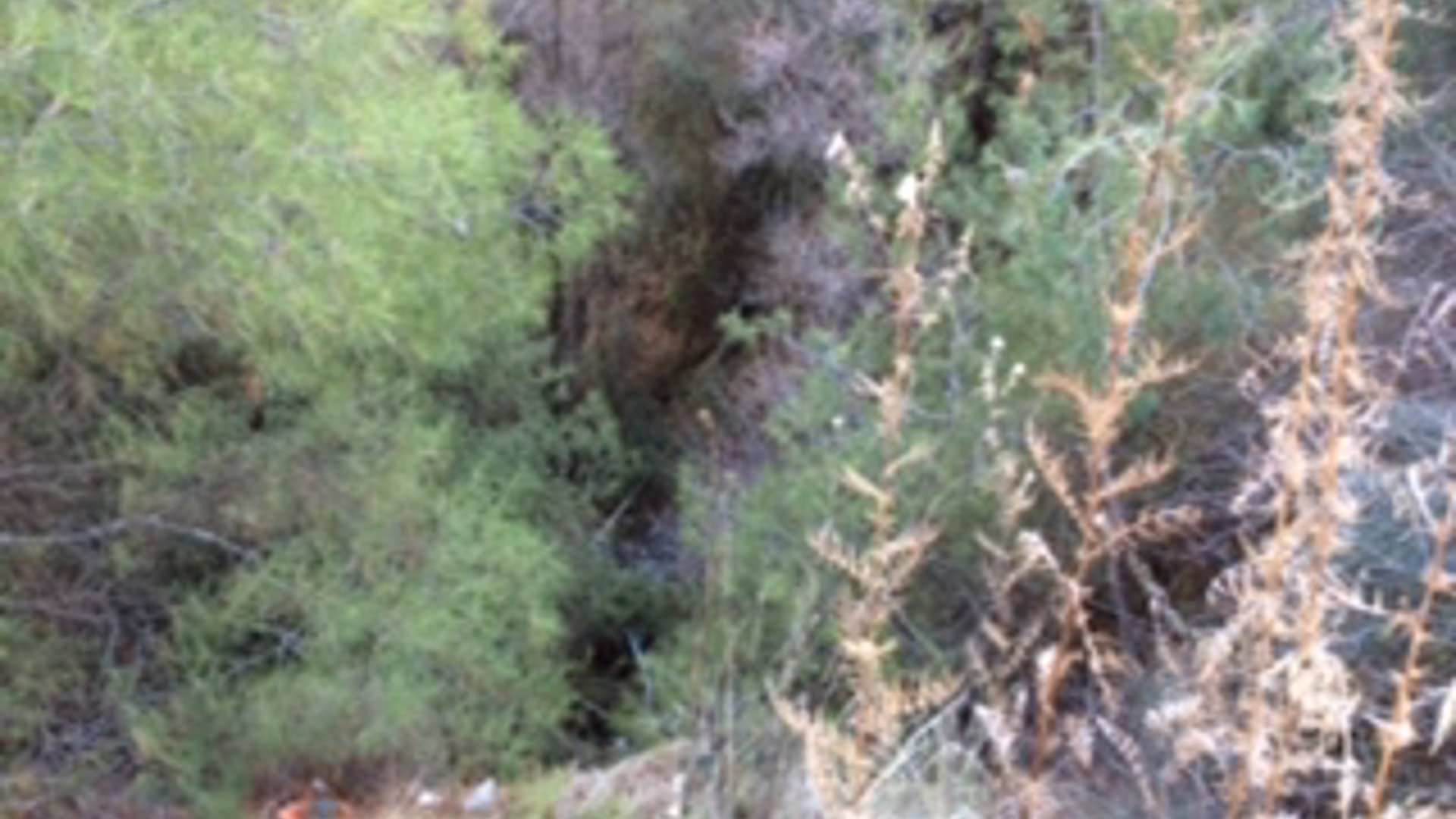 3200m2 Terrain à Trimiklini, Limassol, Chypre No. 25582