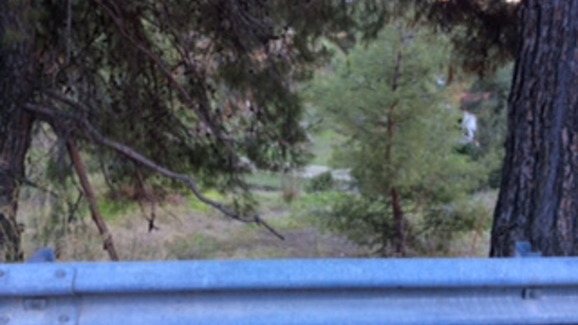 3200m2 Terrain à Trimiklini, Limassol, Chypre No. 25582