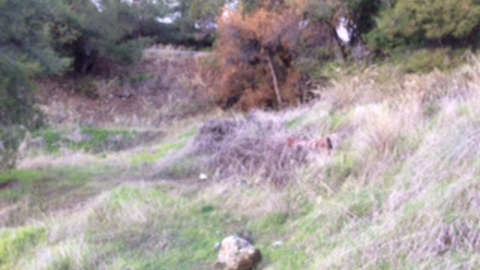 3200m2 Terrain à Trimiklini, Limassol, Chypre No. 25582