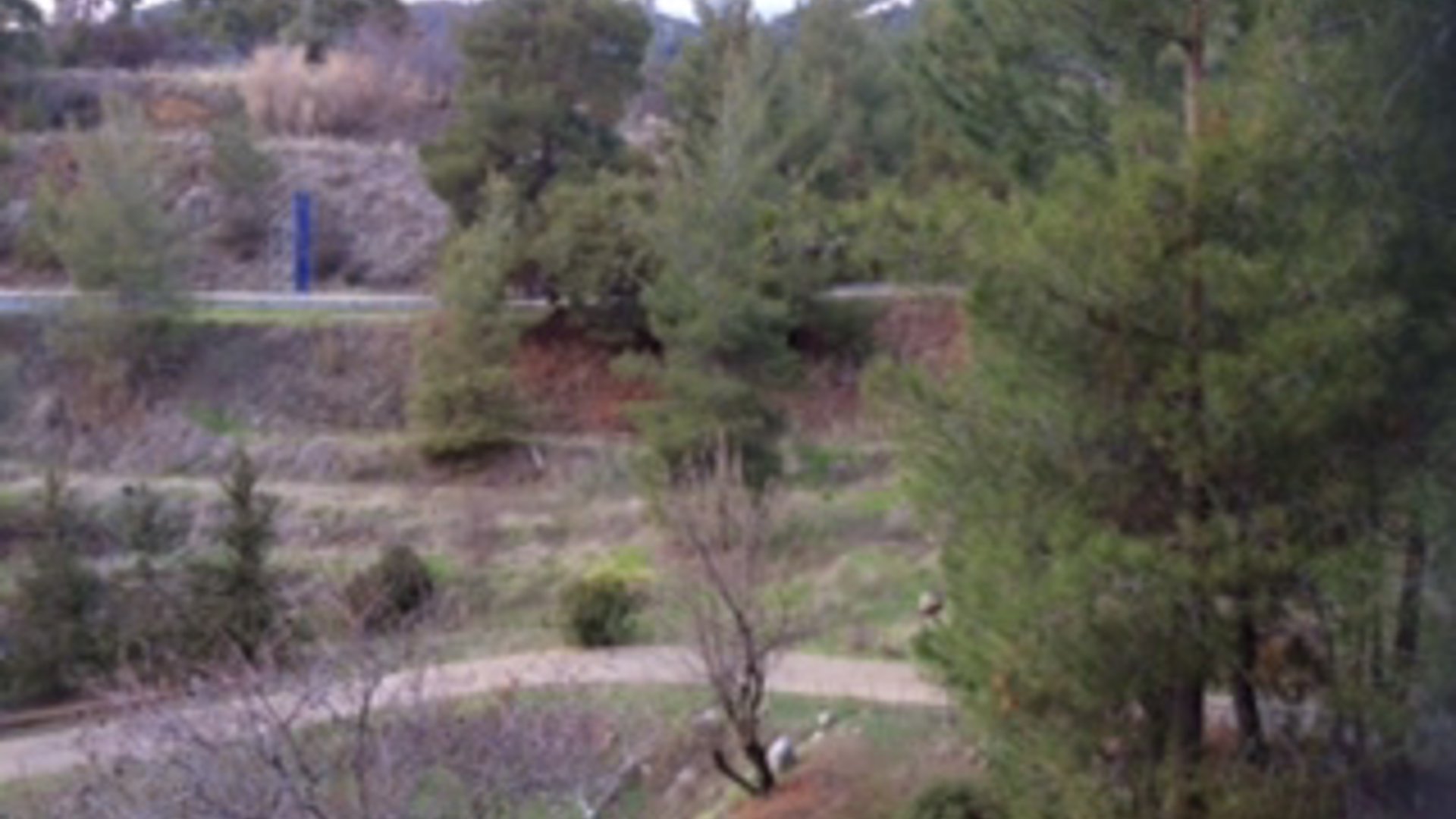3200m2 Terrain à Trimiklini, Limassol, Chypre No. 25582