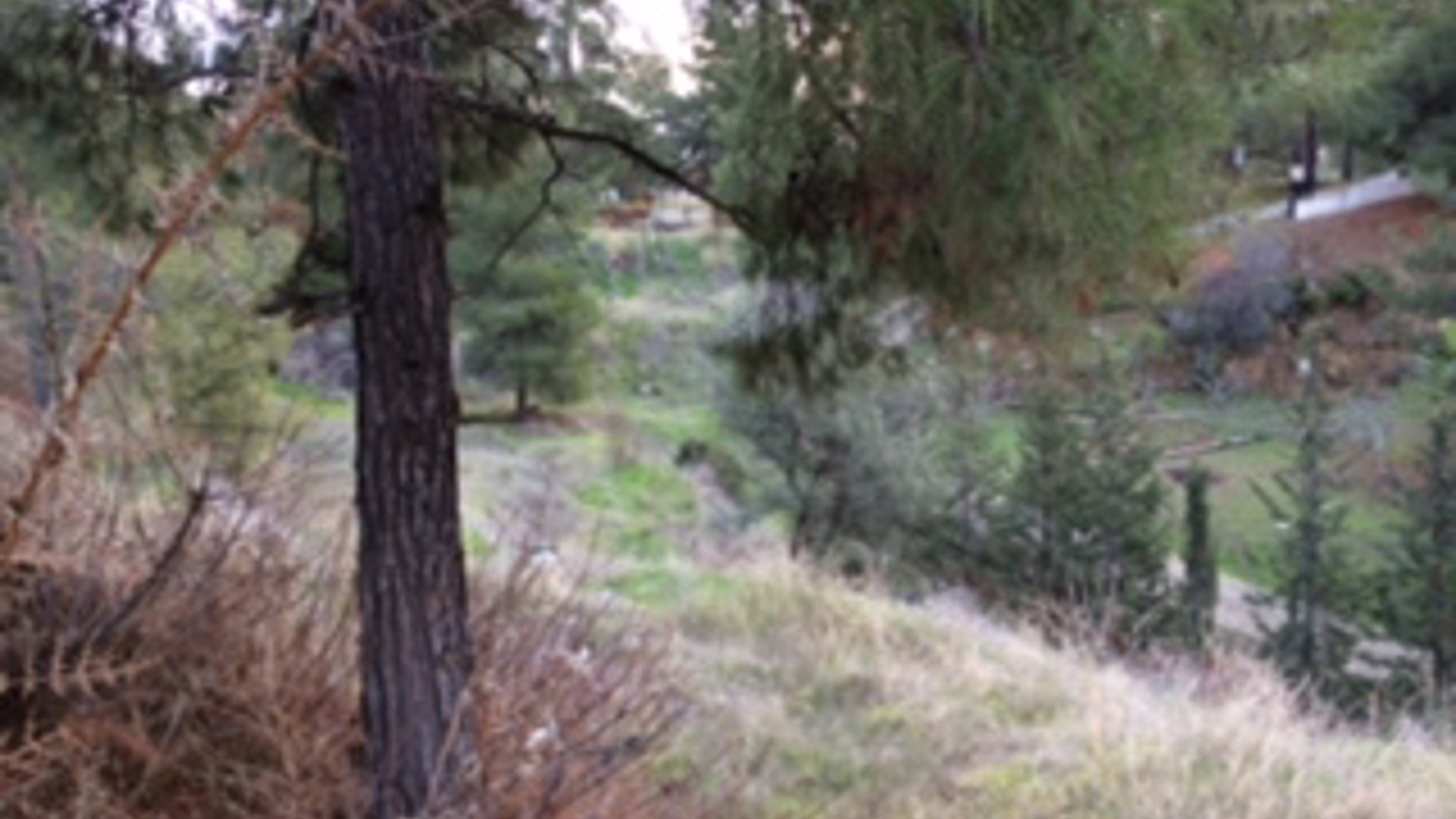 3200m2 Terrain à Trimiklini, Limassol, Chypre No. 25582