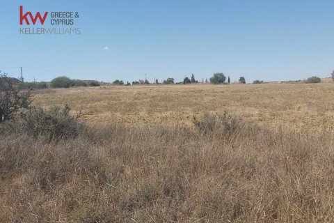 8237m2 Terrain à Avgorou, Ammochostos,  No. 56866 2