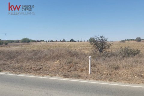8237m2 Terrain à Avgorou, Ammochostos,  No. 56866 3