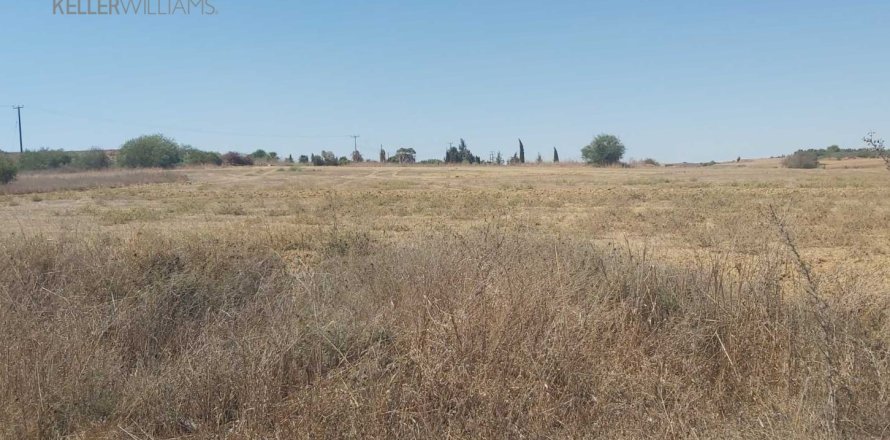 8237m2 Terrain à Avgorou, Ammochostos,  No. 56866