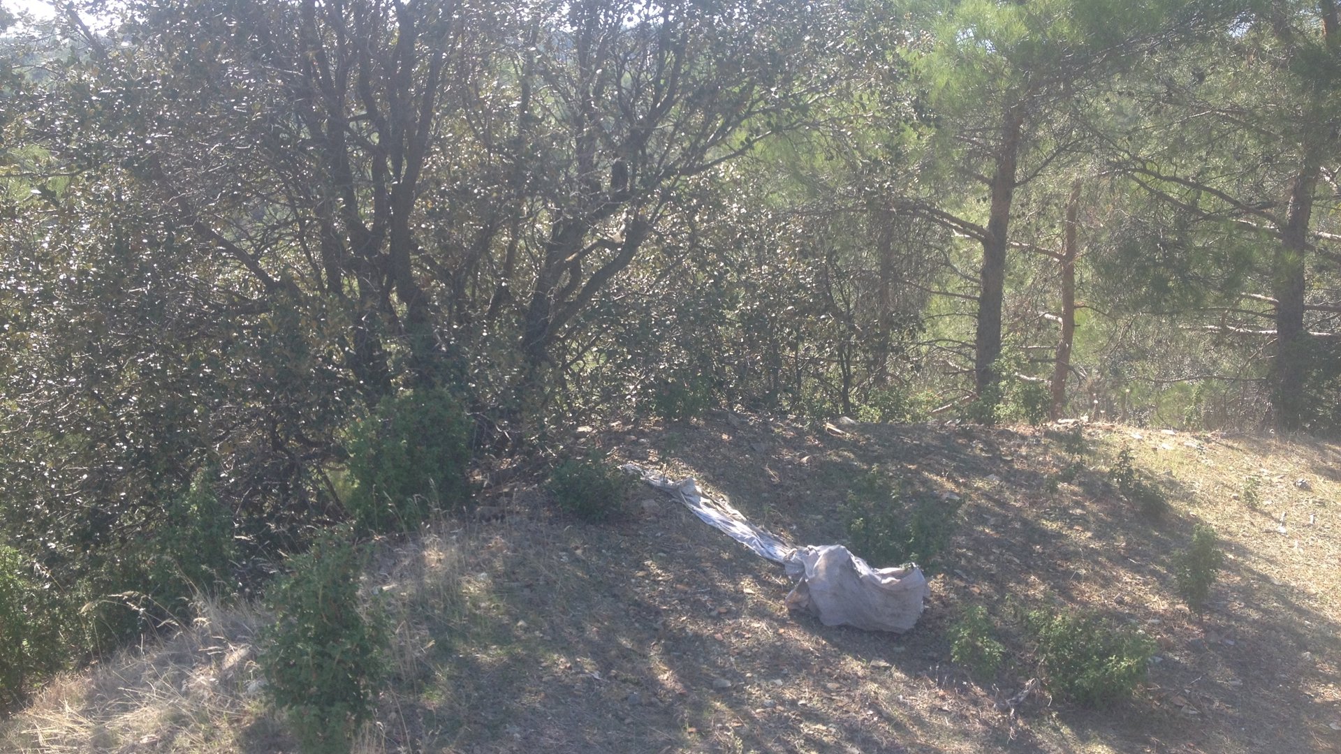 1282m2 Terrain à Pano Platres, Limassol, Chypre No. 25615