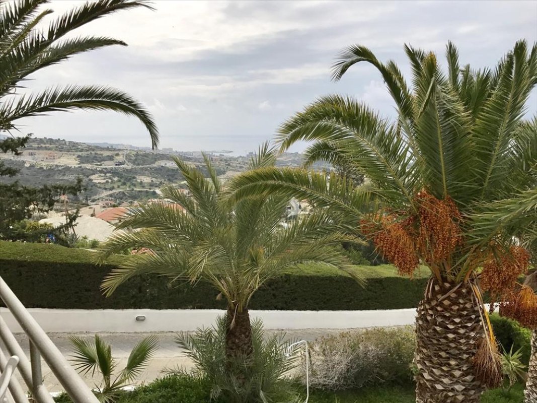 Studio Villa in Limassol, Cyprus No. 38278