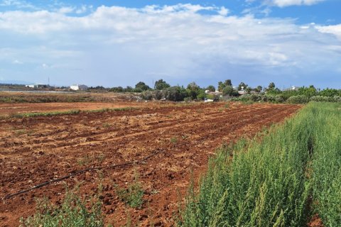 3087m2 Land in Xylofagou, Larnaka,  No. 56725 2