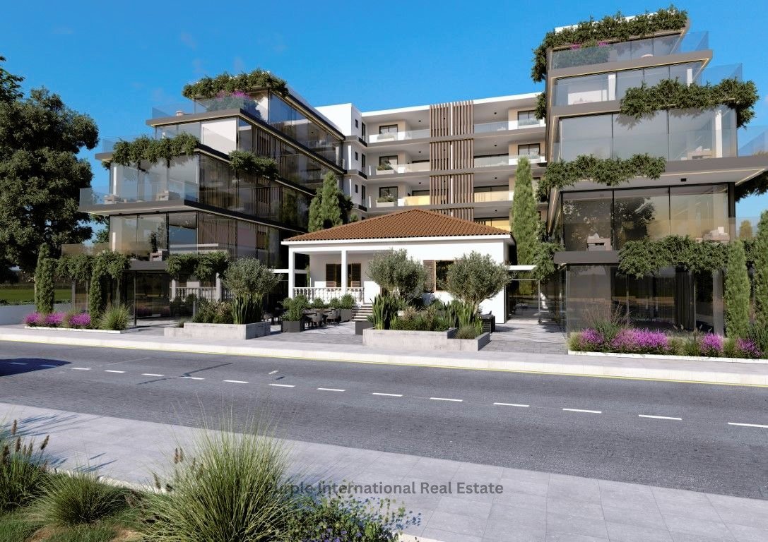 460m2 Oficina en Paphos, Chipre No. 36012
