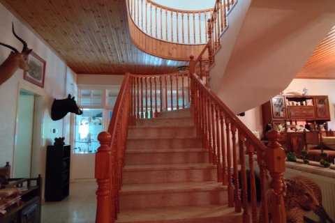 4 bedrooms Townhouse in Larnaka,  No. 40598 13