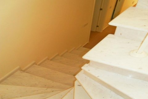 Studio Villa à Limassol,  No. 37987 3