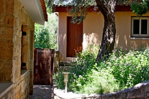 Studio Villa in Paphos, No. 37988 3