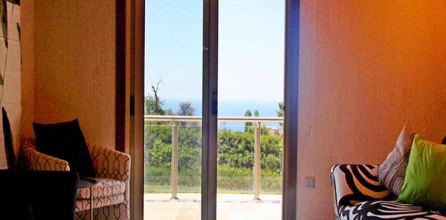 Studio Villa in Paphos, No. 37988