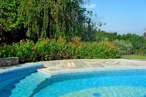 Studio Villa in Paphos, No. 37988 5