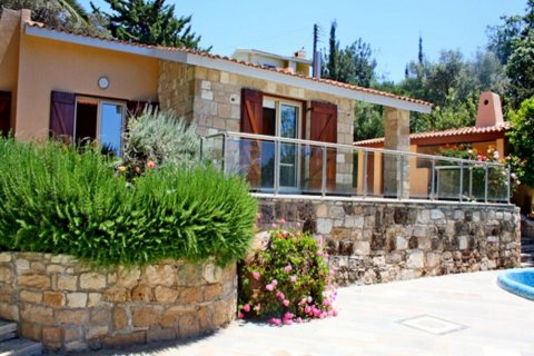 Studio Villa in Paphos, No. 37988 7