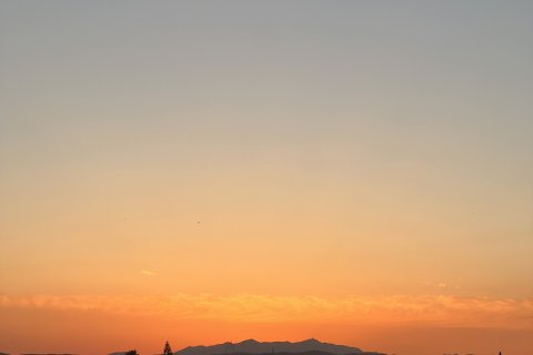 1 bedroom Apartment in Larnaca, Larnaka,  No. 39584 5