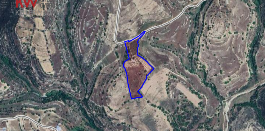 27760m2 Land in Dora, Limassol, No. 39878
