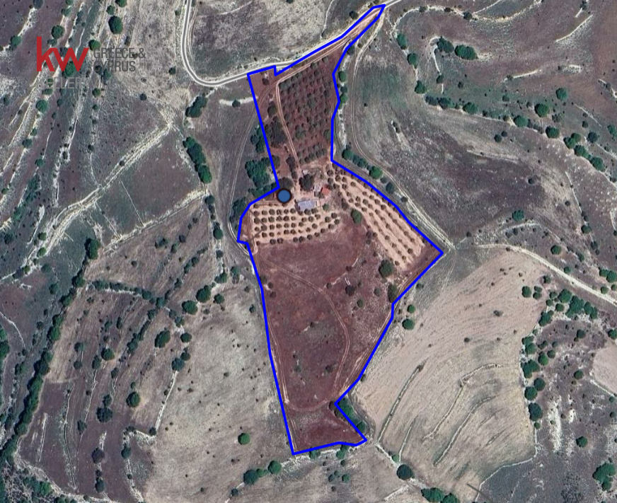 27760m2 Land in Dora, Limassol, Cyprus No. 39878