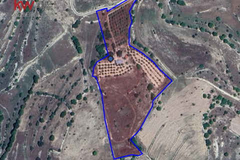 27760m2 Land in Dora, Limassol, No. 39878 2