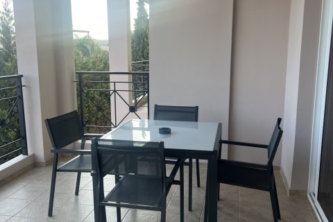 2 bedrooms Apartment in Mazotos, Larnaka,  No. 51813 12