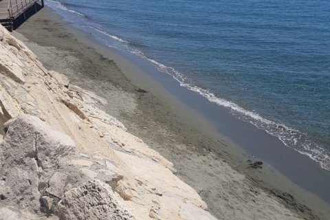 3 chambres Appartement à Limassol,  No. 45885 10