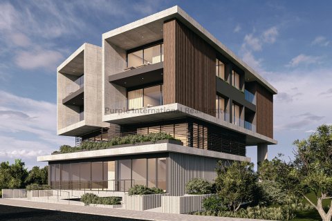 50m2 Office in Geroskípou, Paphos,  No. 50775 5