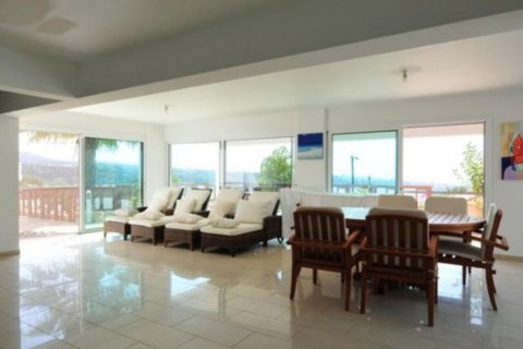 Estudio Villa en Paphos,  No. 38222 4