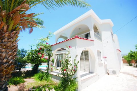 Вилла с 4 спальнями в Пафос, № 38223 2