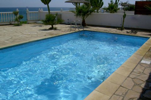 Studio Villa in Limassol,  No. 38191 3