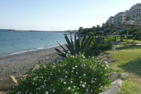 Studio Villa in Limassol,  No. 38191 13