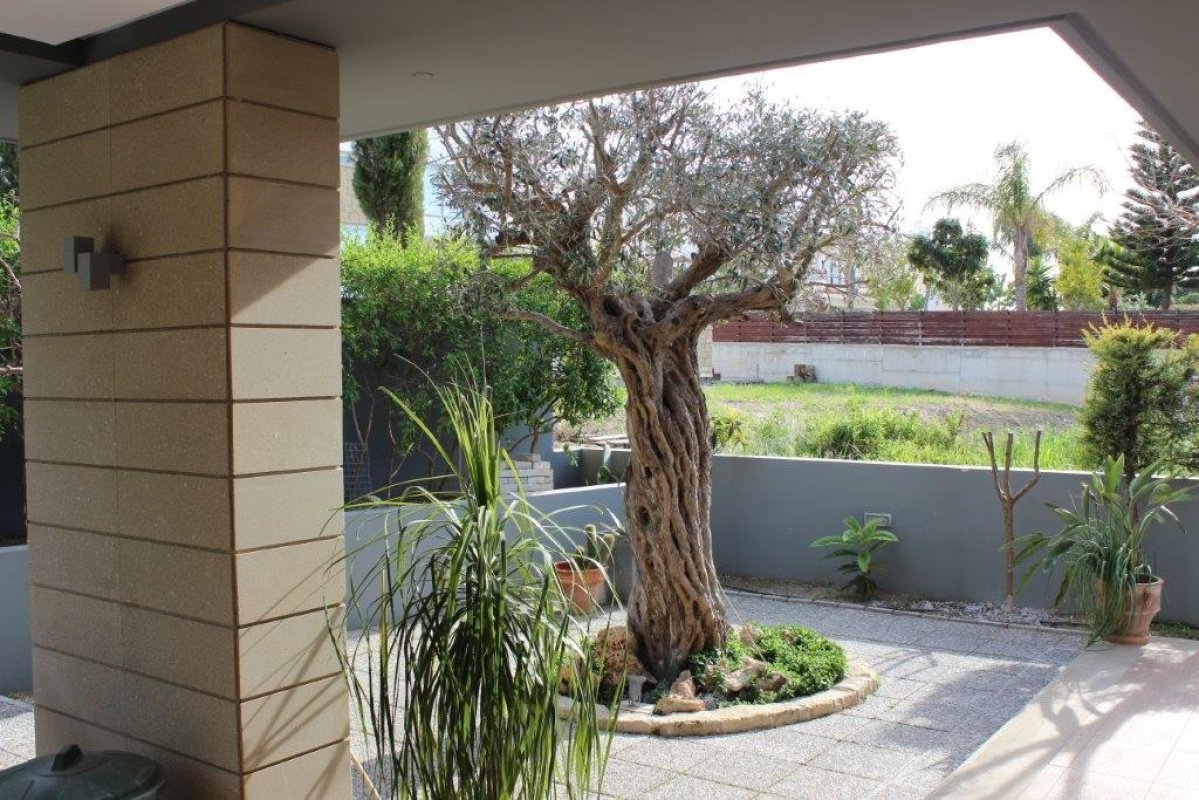 4 bedrooms Villa in Paphos, Cyprus No. 38189