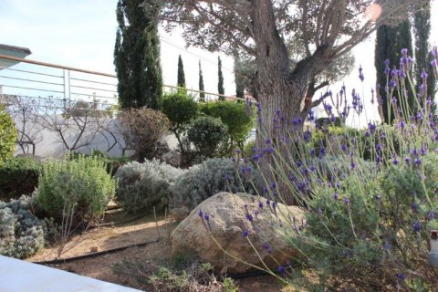 Вилла с 4 спальнями в Пафос,  № 38189 3